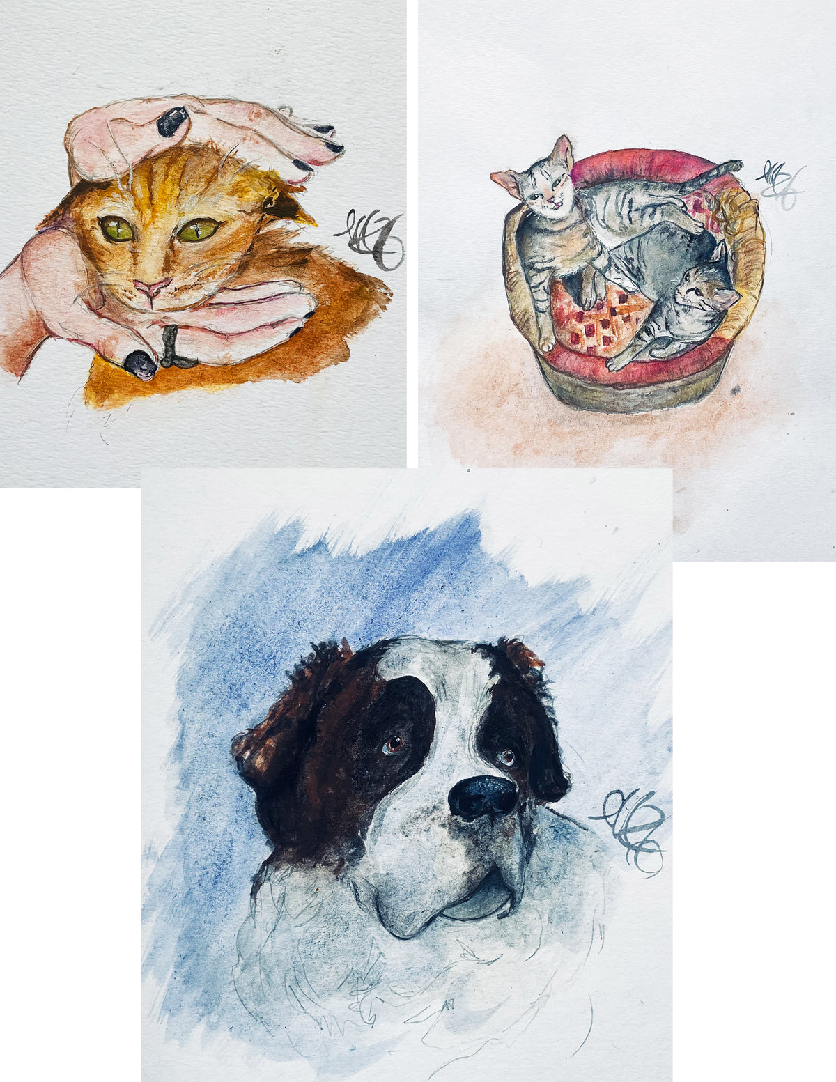 custom pet portrait by lucy