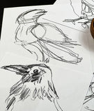expressive ravens