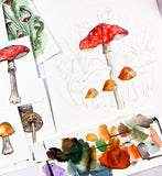 watercolor sketch mushrooms