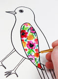 beautiful birds