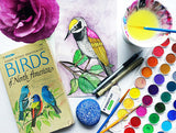 beautiful birds