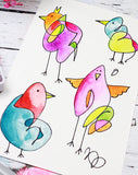 beautiful birds