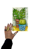 decorative plants original