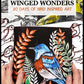 winged wonders