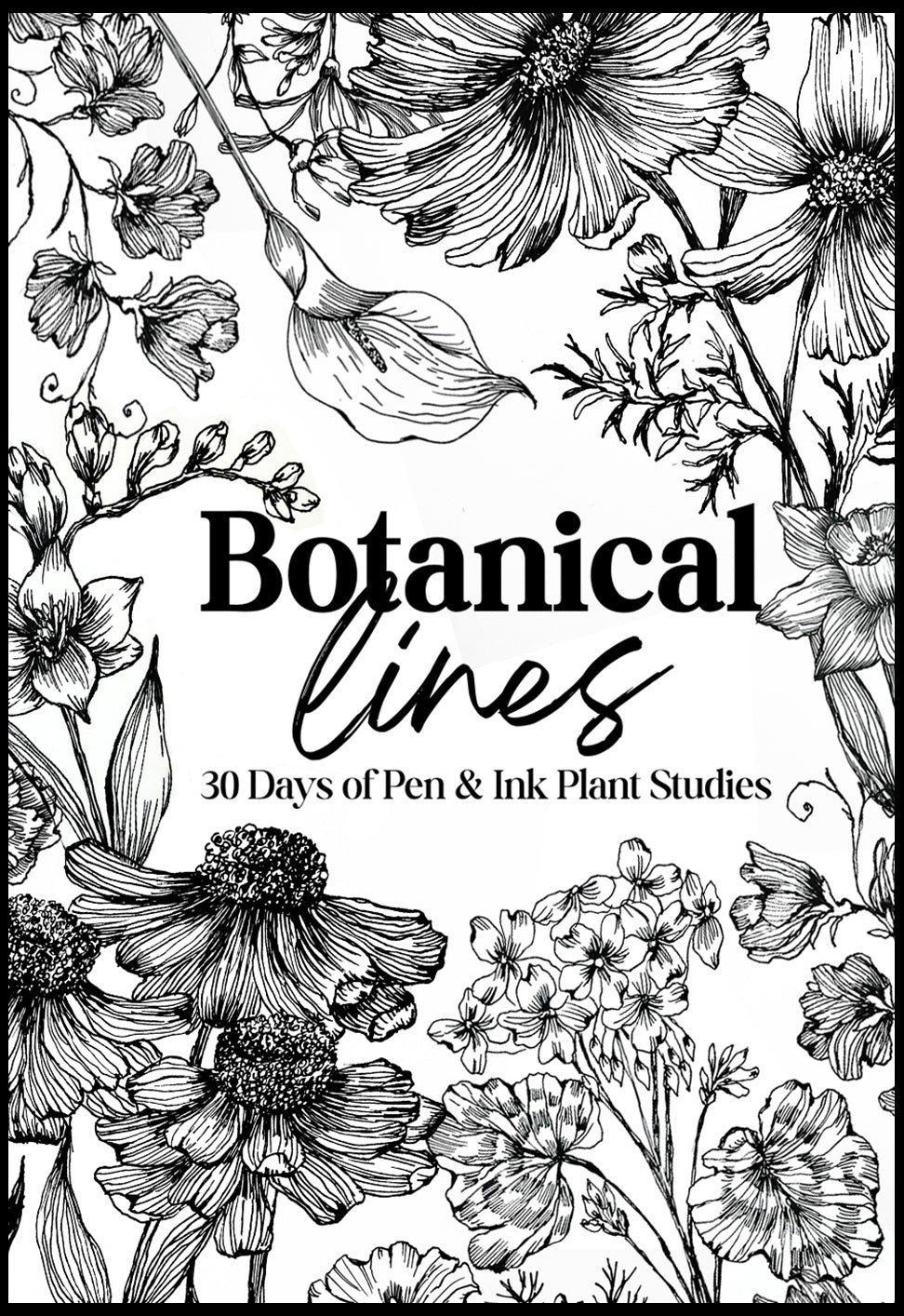 NEW! botanical lines- begins March 1st