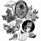 NEW! fall paper sticker pack