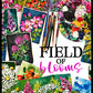 field of blooms