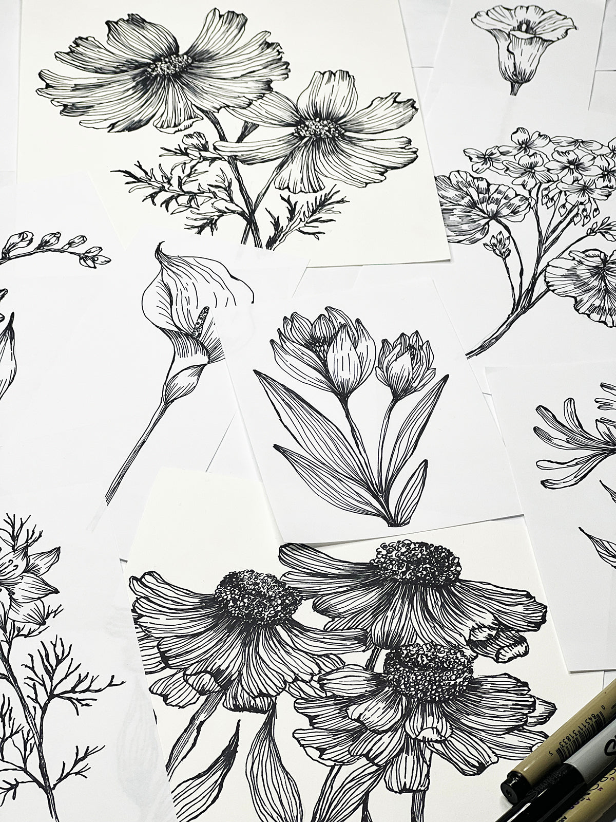 NEW! botanical lines- begins March 1st