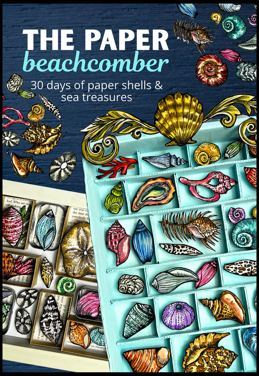 NEW! the paper beachcomber- begins July 1st