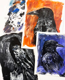 expressive ravens