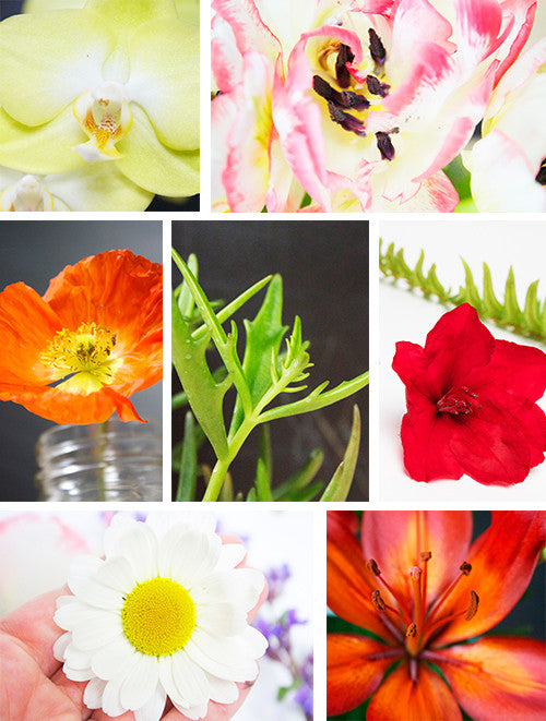 flower power online class