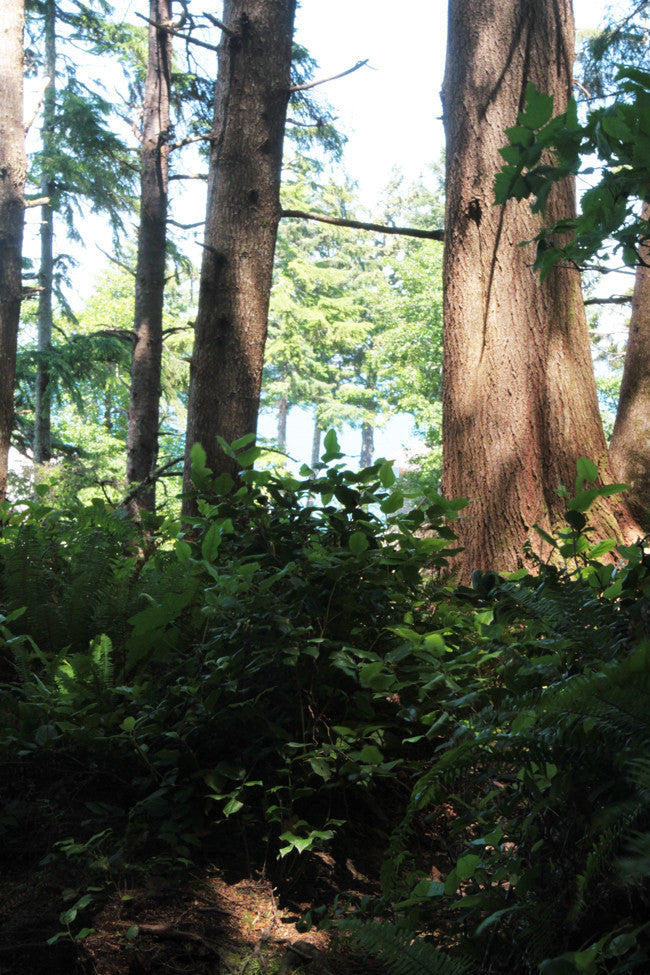 Sketchbook Adventure Retreat