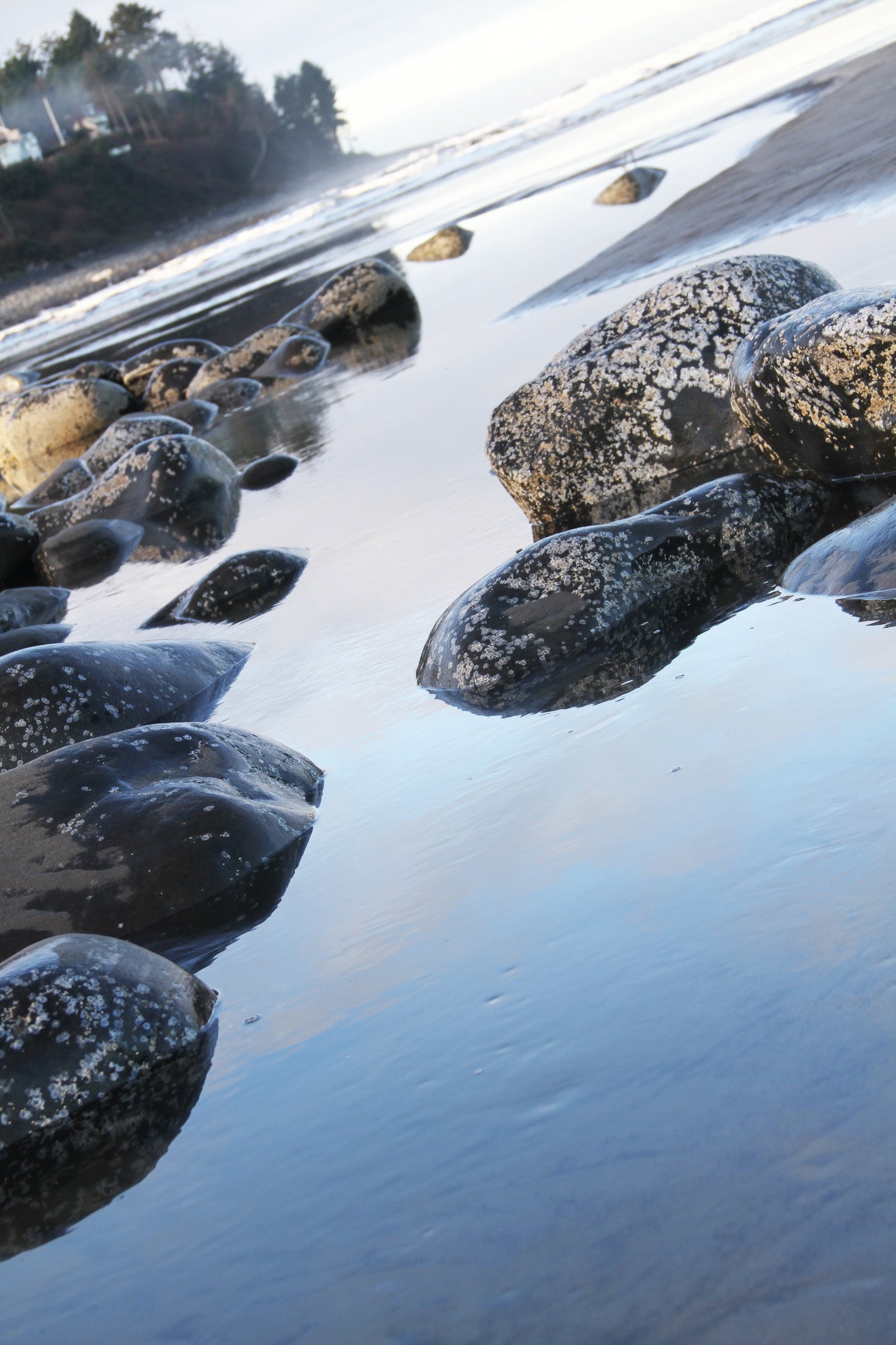 Sketchbook Adventure June-1 day class