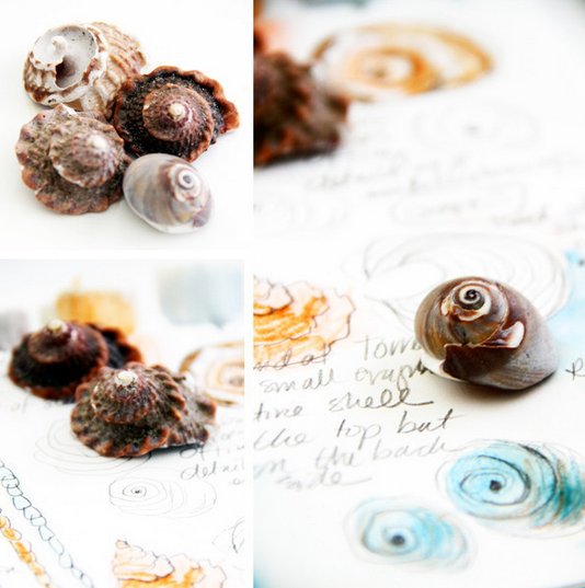 Sketchbook Adventure June-1 day class