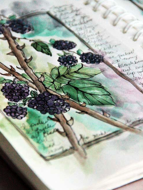 Sketchbook Adventure June-1 day class