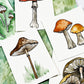 watercolor sketch mushrooms