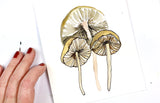 watercolor sketch mushrooms