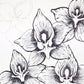 sketch and watercolor orchids