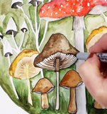 watercolor sketch mushrooms