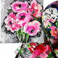 expressive peonies