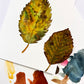 watercolor fall leaves